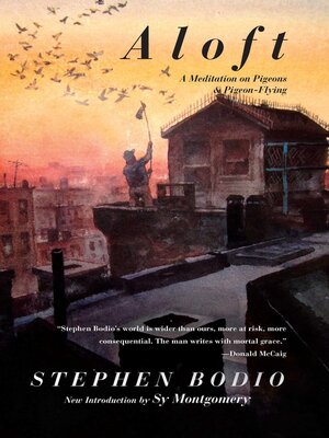 cover image of Aloft: a Meditation on Pigeons & Pigeon-Flying